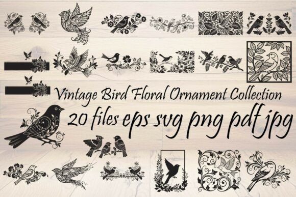 Vintage Bird Floral Ornament Collection Graphics and Illustrations Review